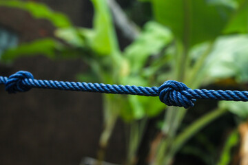 Close-up of a blue rope tied with a simple knot, sharp in the center while the background appears blurred (bokeh)