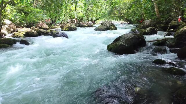 Superb view of summer: Slow motion of the fantastic Moot valley in Phong Nha National Park, Vietnam with the sound of a clear stream flowing through the peaceful tropical jungle