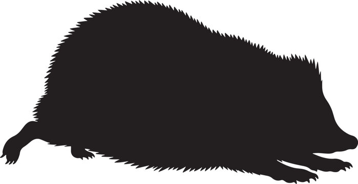 A striking, detailed black silhouette of a wild hedgehog, an insectivorous mammal known for its spines, captured in a dynamic pose, isolated for versatile design projects.