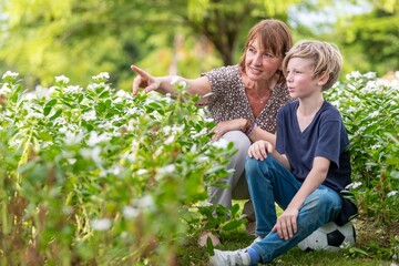 Grandmother and grandson teaching pointing sitting in flower garden loving outdoor bonding generational happy family connection. relationship family outdoor summer joyful warm sunlight
