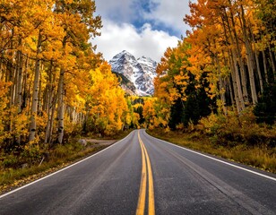 Obraz premium Road through autumn trees leads to snow-capped mountain under cloudy sky