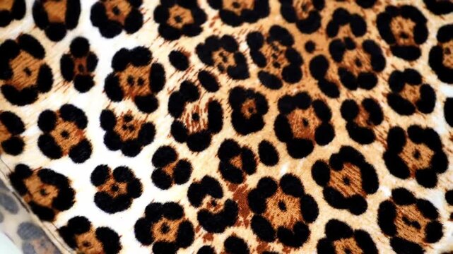 Abstract animal print pattern natural textile surface detail exotic design