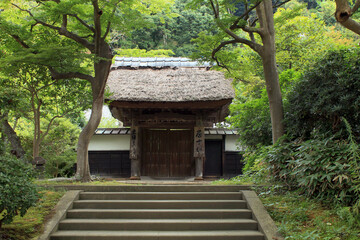鎌倉　円覚寺　居士林