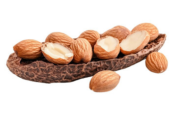shea nuts in a pod on transparent background