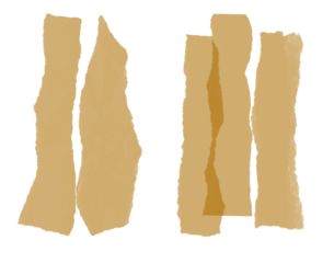 irregular shapes of rough, torn dark brown or sepia material fragments, likely paper or raw leather, isolated against a solid transparent background.