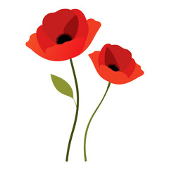 Obraz premium of two red poppies with black centers on long green stems, no background vector file.
