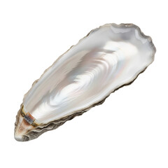Fresh Oysters isolated on transparent background, Sea Food, Oyster PNG  