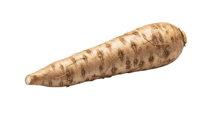 A single fresh parsnip root vegetable, known for its sweet and earthy flavor and creamy white skin, isolated on transparent background