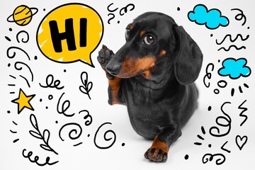 Adorable dachshund raises paw in greeting amidst hand-drawn doodles, including speech bubble with "hi," stars, and clouds, creating a playful and cheerful composition.