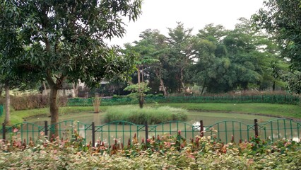 View of Pond surrounded by green plants in the garden area. white clouds background