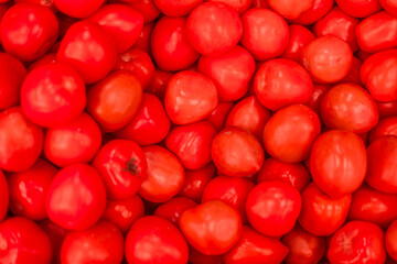 Close-up of stacked roma tomatoes