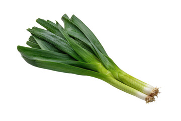 Two fresh green leeks with white bases and roots on black background image