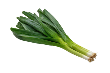 Two fresh green leeks with white bases and roots on black background image