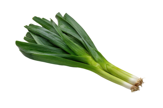 Two fresh green leeks with white bases and roots on black background image