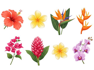 Collection of colorful tropical flowers including hibiscus, plumeria, orchid and bird of paradise isolated on transparent background