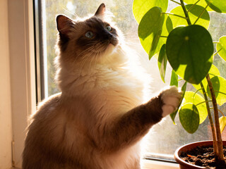 art, concept, cyber, cyberpunk, digital, electric, fantasy, high tech, neon, technology