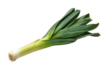 Single fresh green leek vegetable with white stem on black background image