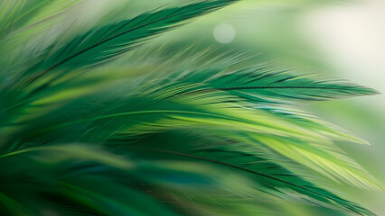 Abstract soft green feathers texture natural close up luxury background design