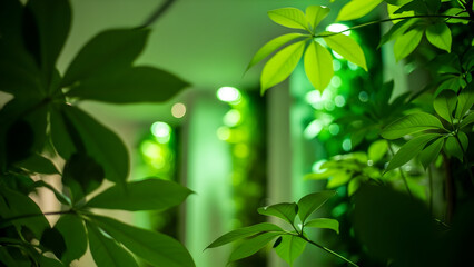 Vibrant green leaves pattern with soft light bokeh nature background texture
