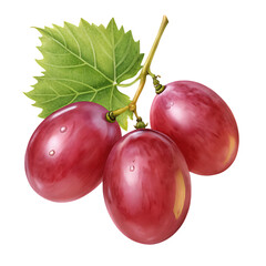 red grape isolated on white background