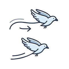 Full cycle of bird's flying. Animated sequences for animal motion design
