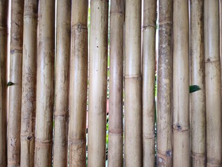 Neatly arranged bamboo poles forming a natural wall, captured in landscape orientation as a clean and organic background texture.