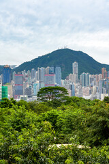 Hong Kong's bustling cityscape and skyscrapers