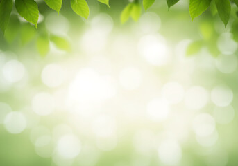 Fresh green leaves frame a soft, dreamy bokeh background, perfect for nature-inspired designs, wellness promotions, or spring seasonal campaigns