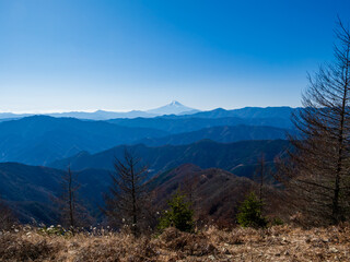鷹ノ巣山から望む富士山
