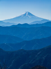 Fototapeta premium 鷹ノ巣山から望む富士山