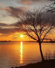 Golden sunset over a tranquil river with a silhouetted tree