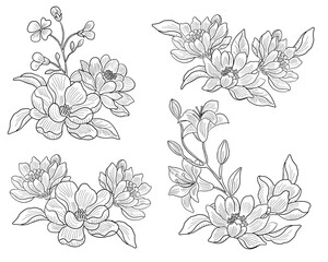 Elegant Lily and Aster Hand Drawn Flower Arrangement