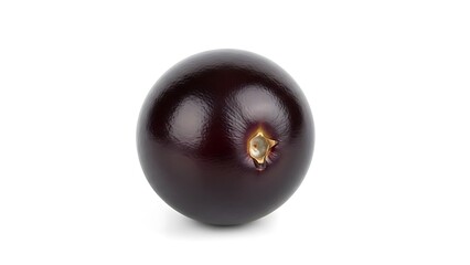 Isolated Perfectly Spherical Shiny Dark Purple Eggplant on White Background.