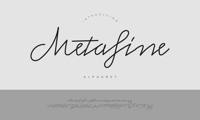 Metafine Elegant Monoline Script Font Vector For Minimalist Branding Design Radiant Modern