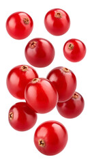 Falling cranberry isolated on transparent background, full depth of field
