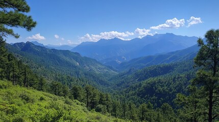 Fototapeta premium Mountain vista, lush green valleys, pine trees, clear blue sky