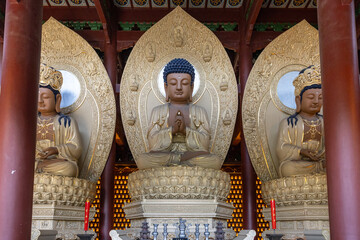 buddha statue in temple