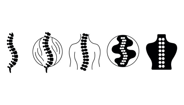 Five stylized black and white illustrations of human spines and torsos spinal column vertebrae