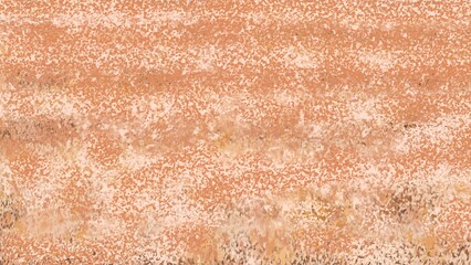texture of the sand