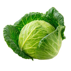 Obraz premium Fresh green cabbage with crisp leaves on a white isolated background.