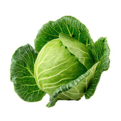 Fototapeta premium Fresh green cabbage with vibrant leaves and texture, isolated on white background.