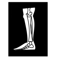 leg xray radiology leg bones medical icon silhouette.eps