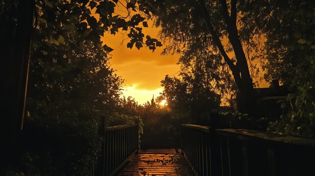 Wooden bridge pathway, sunset through trees