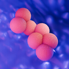Blue Medical Background of MRSA Bacteria Cluster 3D Illustration