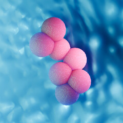 Blue Medical Background of MRSA Bacteria Cluster 3D Illustration