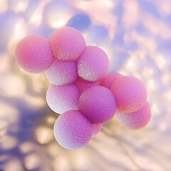 Purple Microscopic View of MRSA Staphylococcus Aureus Bacteria Cluster
