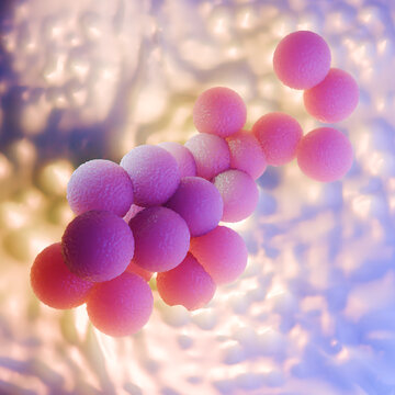Purple Microscopic View of MRSA Staphylococcus Aureus Bacteria Cluster