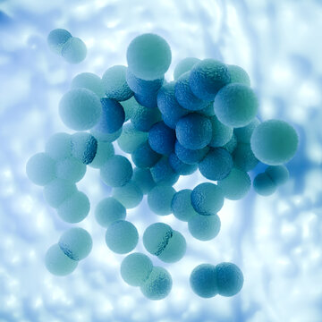 Frozen MRSA Bacteria Cluster Preserved in Ice Blue Background