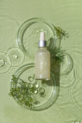 Obraz premium Composition with bottle of dill cosmetic product and Petri dishes in water on green background, closeup