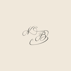 monogram elegant concept logo initial royal design NB minimalist style curve letter